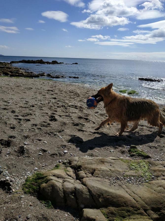 Dog Friendly Nancecliff Cottages Looe Exterior photo